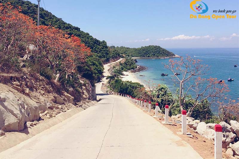 hoa ngô đồng tour cù lao chàm