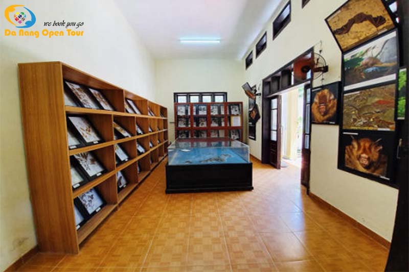 khu bảo tồn biển tour cù lao chàm 