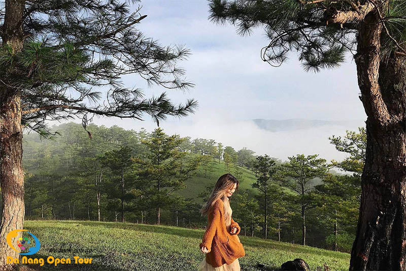 tour đà nẵng đà lạt 3 ngày 2 đêm bay thẳng