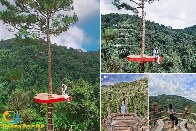 Hoa Sơn Điền Trang Đà Lạt