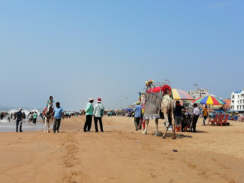 Hình ảnh đại diện: Bảo Vệ Môi Trường Khi Du Lịch Biển - Trách Nhiệm Của Du Khách