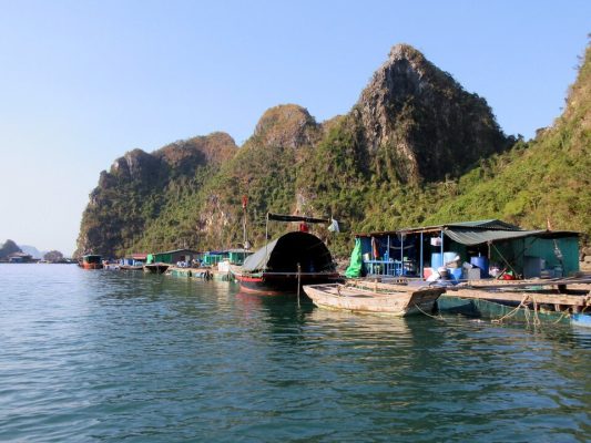 Hình ảnh đại diện: Văn Hóa Làng Chài Miền Trung: Nét Đẹp Truyền Thống Và Hiện Đại