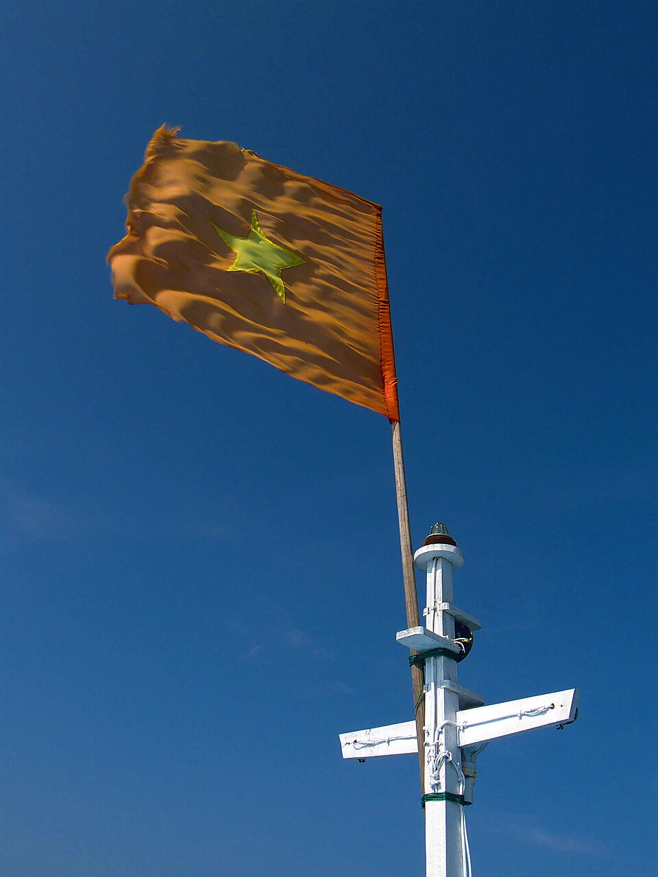 Hình minh họa: Bảo Tồn Và Phát Triển Bền Vững Rừng Nguyên Sinh