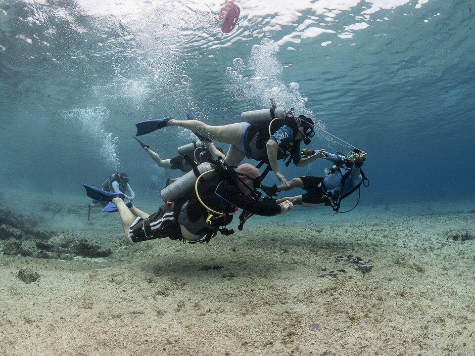 Hình minh họa: Các môn thể thao dưới nước phổ biến tại Việt Nam Hình minh họa: Các môn thể thao dưới nước phổ biến tại Việt Nam