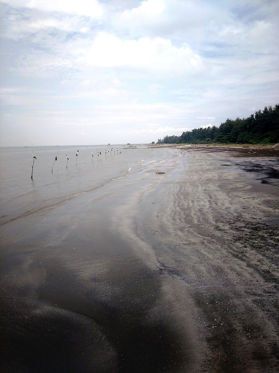 Hình minh họa: Kinh Nghiệm Du Lịch Biển Việt Nam: Mùa Nào Đẹp Nhất Và Cần Chuẩn Bị Gì?