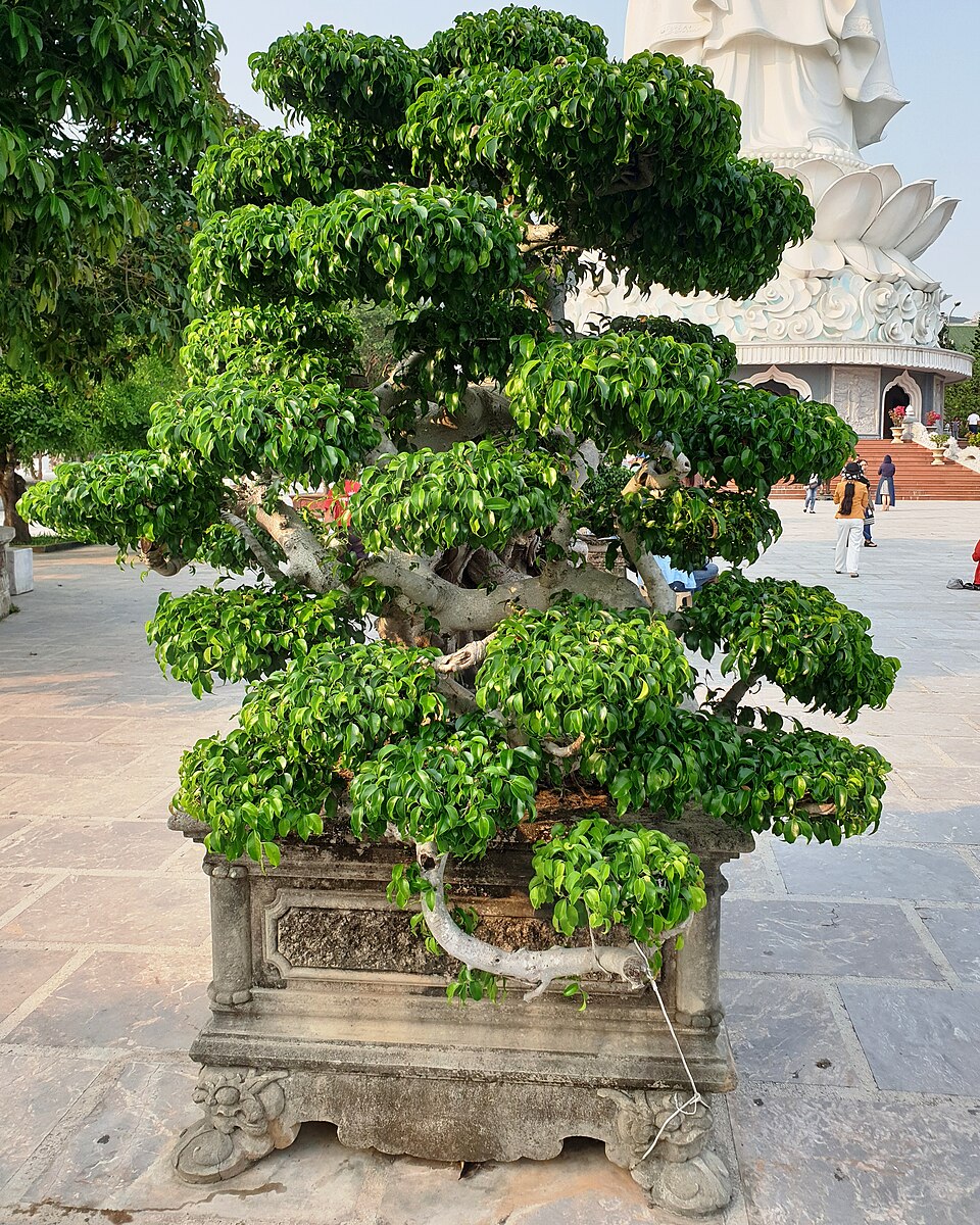 Hình minh họa: Lưu Ý Quan Trọng Khi Tham Quan Chùa Linh Ứng Hình minh họa: Lưu Ý Quan Trọng Khi Tham Quan Chùa Linh Ứng