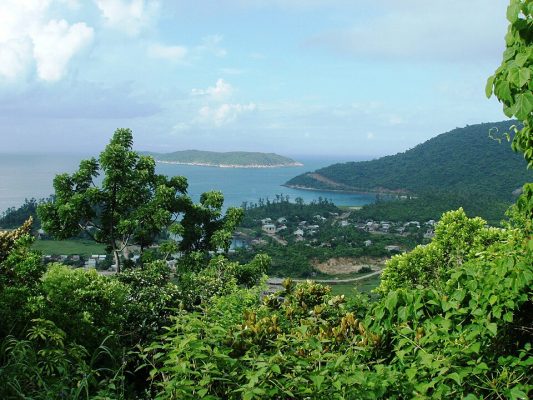 Hình minh họa: Quy trình đặt vé tàu Cù Lao Chàm online từng bước