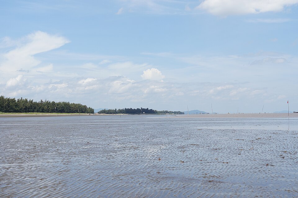 Hình minh họa: Vai Trò Của Du Khách Trong Bảo Tồn Biển Hình minh họa: Vai Trò Của Du Khách Trong Bảo Tồn Biển